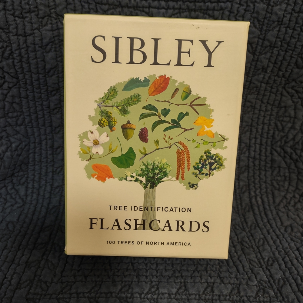 Sibley Tree Id Flashcards - Cream